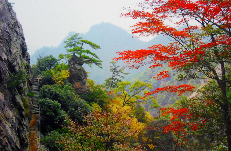 �V���ҕ���֙C��